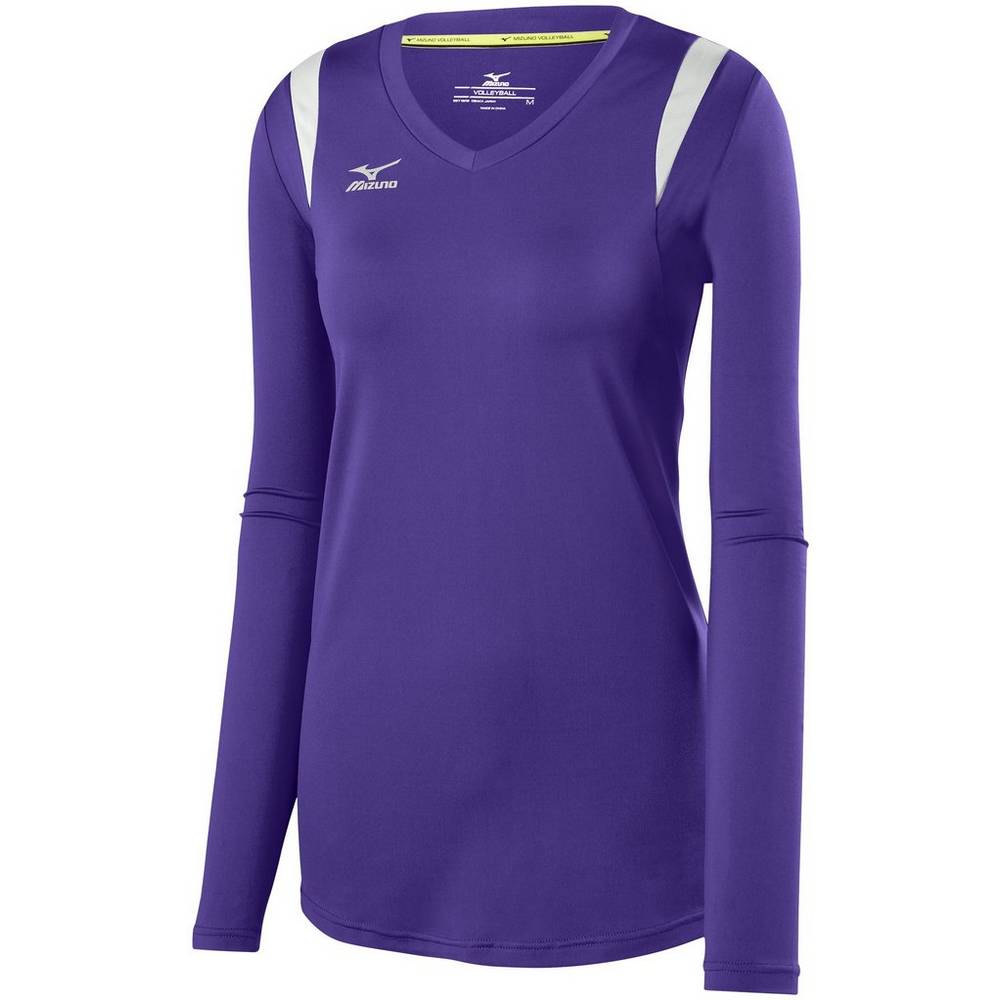 Damske Dresy Mizuno Balboa 5.0 Long Sleeve Volejbalove Nachový/Strieborne Vypredaj LXCB78321